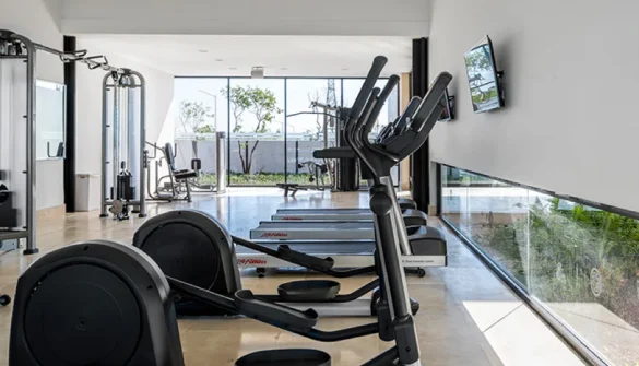 Gimnasio